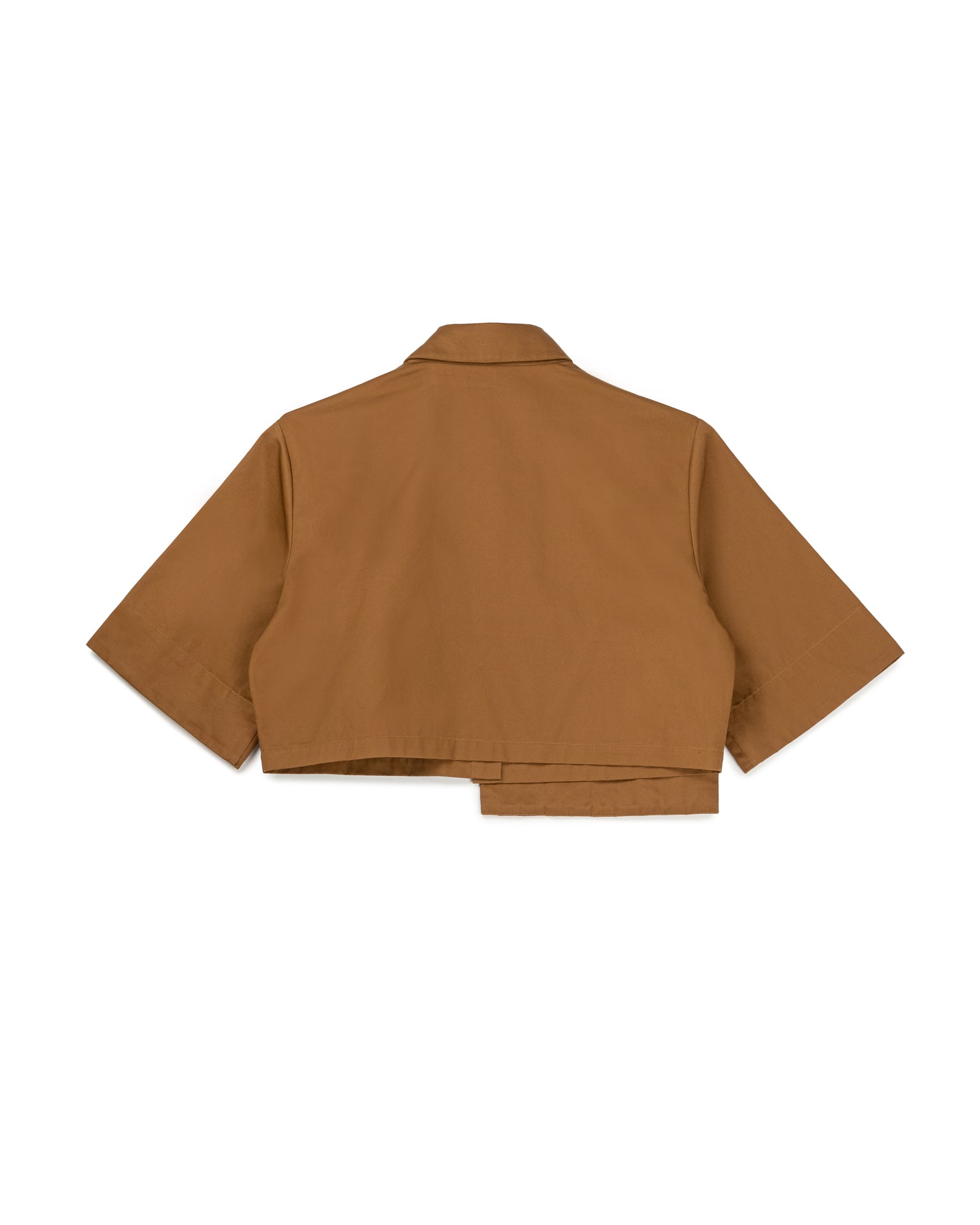 Asymmetrical Pleated Crop Top